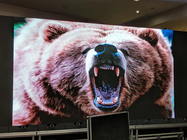 Large LED video wall showing a roaring bear